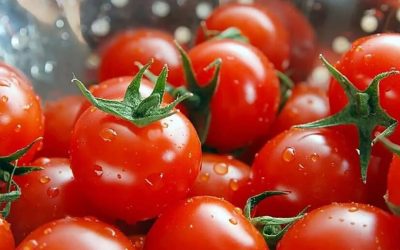 طريقة جديدة لتخزين الطماطم بدون تغير في الطعم أو اللون