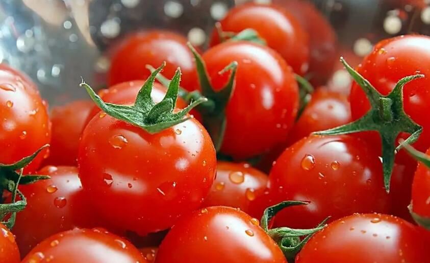 طريقة جديدة لتخزين الطماطم بدون تغير في الطعم أو اللون